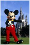 Walt Disney World - where magic lives